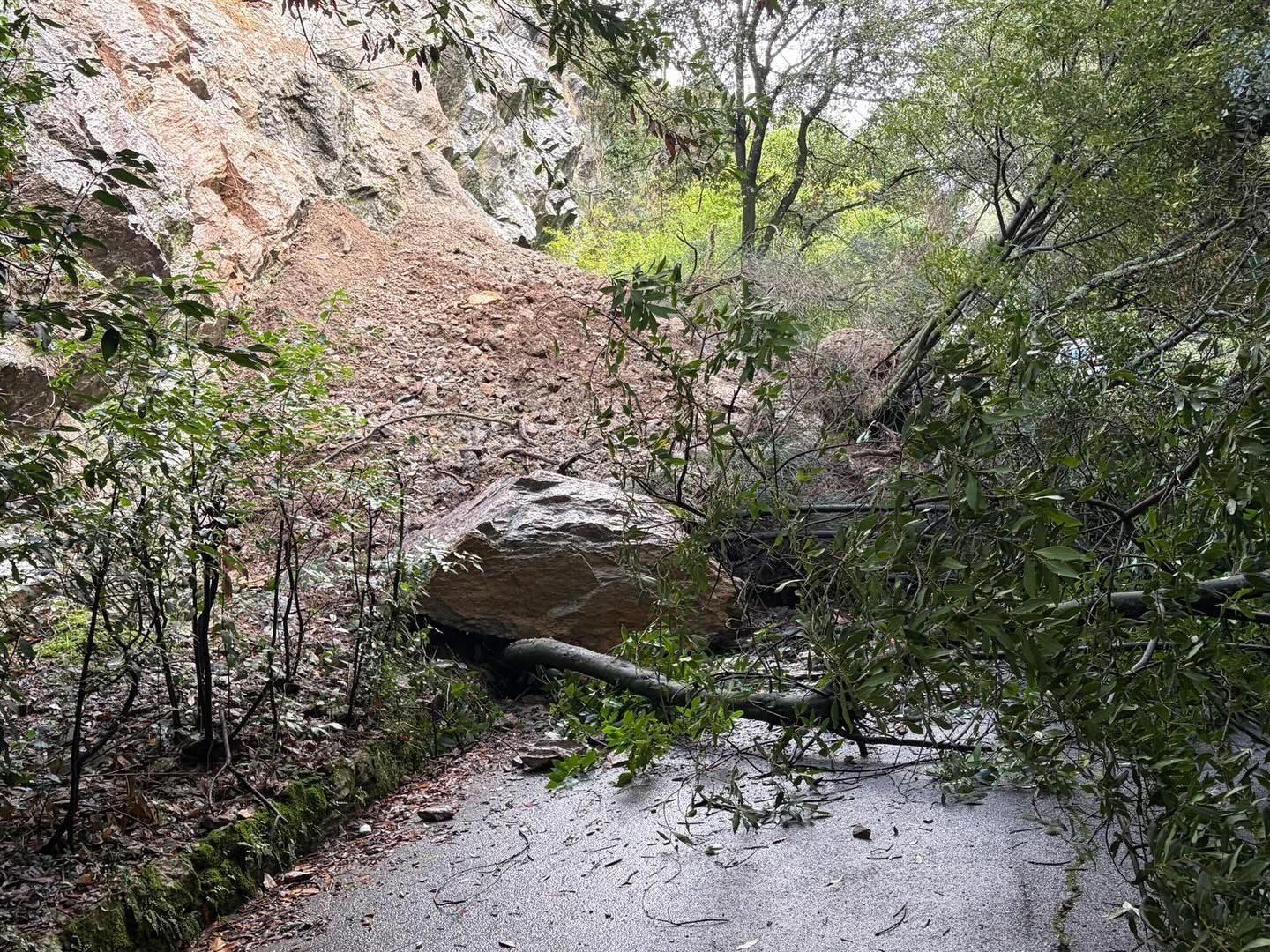 INTERROGAZIONE AVENTE PER OGGETTO “CRITICITÀ PRESSO L’ISTITUTO MARCHI DI PESCIA E VALUTAZIONE DI INTERVENTI PER LA SICUREZZA STRADALE IN VIALE MARCONI”